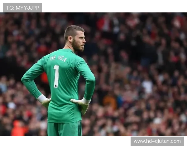 “德甲财政公平法案下的中游球队生存现状”